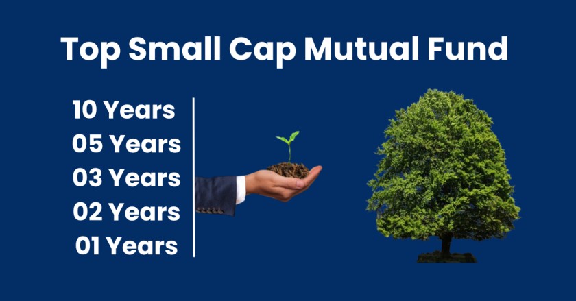 Top small cap mutual fund schemes