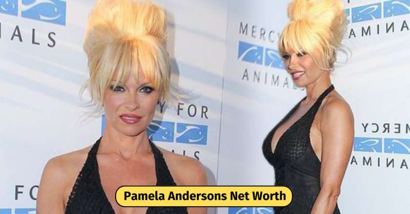 Pamela Andersons Net Worth