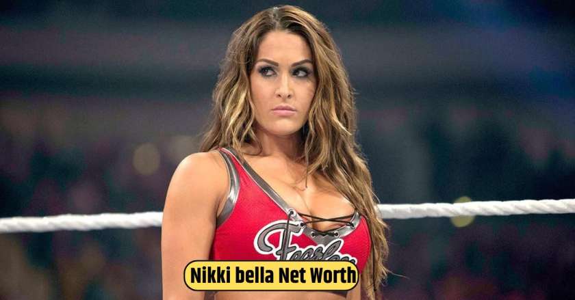 Nikki bella Net Worth